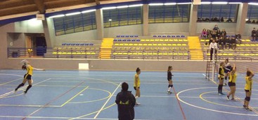 LAPIETRA, SI SBLOCCANO I LEONI DELLA SERIE C A FARNE LE SPESE LA PROVOLLEY
