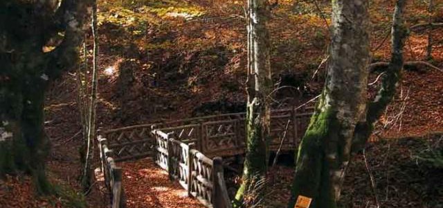 La Rai e Geo&Geo in visita al Parco Nazionale della Sila