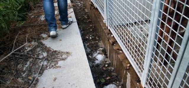 'Ndrangheta: gestione canili, arresti