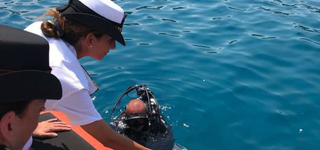 Cavallucci marini rimessi in mare