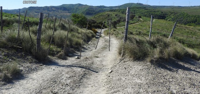 Sbarrano strade comunali per agevolare il pascolo, tre persone denunciate