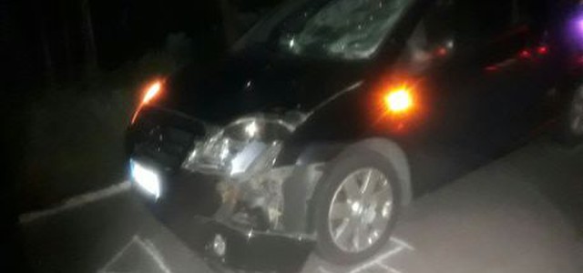 Travolto e ucciso da due auto sulla s.s. 106, muore 17enne