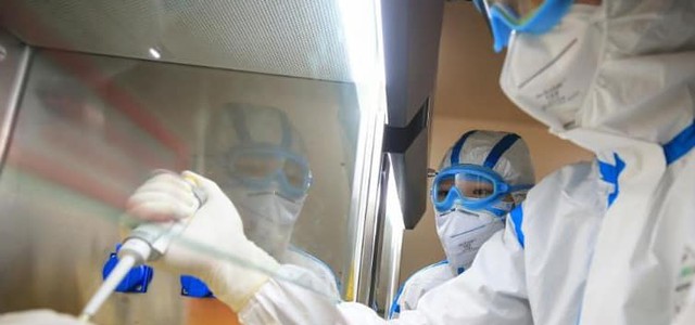 Covid-19, molecole che lo contrastano si trovano in natura e nel cibo