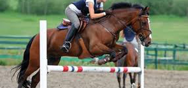 ALLA VALLE DEI MULINI INAUGURAZIONE DELLA TAPPA NAZIONALE DEL CIRCUITO CLASSICO DI SALTO AD OSTACOLI DI EQUITAZIONE