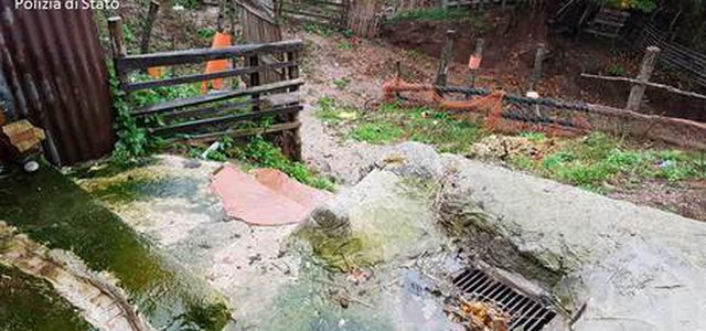 Acque reflue in fiume,chiuso allevamento