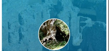 Curinga - Arriva "Municipium", l‘App del Comune:informazioni in tempo reale direttamente sullo smart