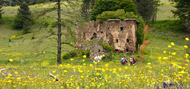 In Sila non è solo l’aria ad essere pulita: il corso per Guide Ufficiali svolto in piena regolarità