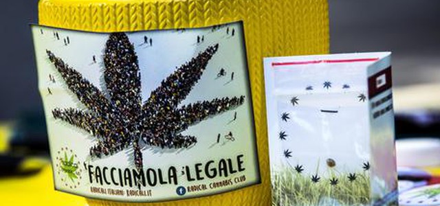 Cannabis: "lezione" di autocoltivazione dei radicali davanti a Montecitorio
