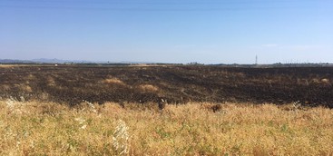 INCENDIO DOLOSO ALL’AZIENDA AGRICOLA EREDI DI GIOVANNI SALERNO - IL SOSTEGNO E LA SOLIDARIETA’ DELLA COLDIRETTI