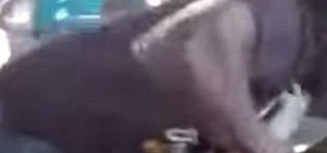Botte tra autista bus e immigrato a Parma IL VIDEO