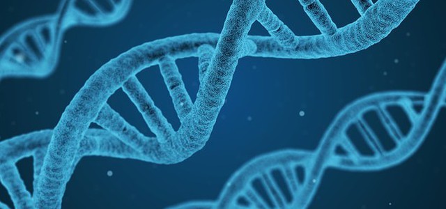 Ellis salvata con un test genetico dalla depressione