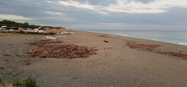 Riccio: "Pulizia spiagge, il capitolato la prevede per il 1° Maggio. Se ne facciano una ragione gli alfieri degli interessi privati"