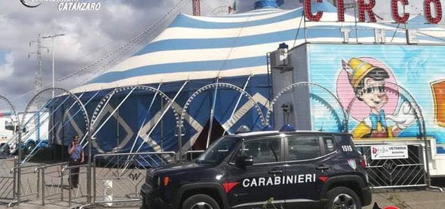 Circo non in regola, deferito titolare
