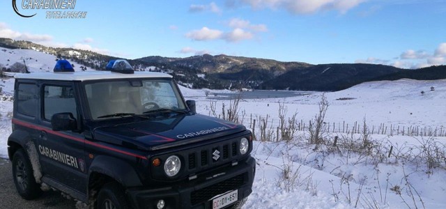 Parco della Sila, 11mila controlli e 71 denunce nel 2019