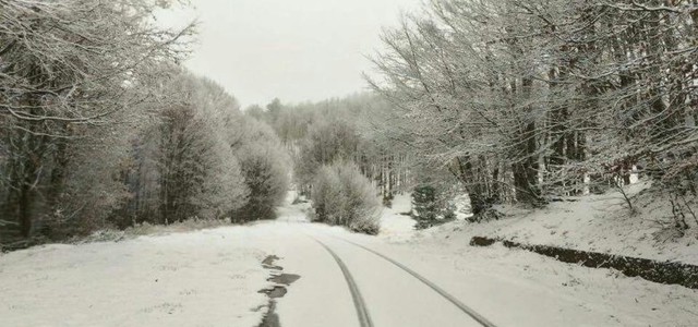 Arriva la prima neve in Sila