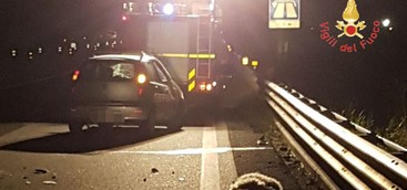 Investe gregge sulla S.S. 280 nel Catanzarese, uccise 8 pecore: un ferito