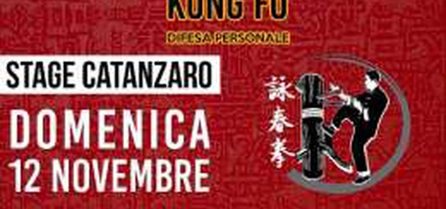 A Catanzaro primo stage di Wing Tsun Kung Fu