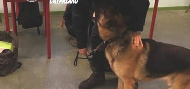 Controlli carabinieri nelle scuole della zona sud, segnalati tre studenti
