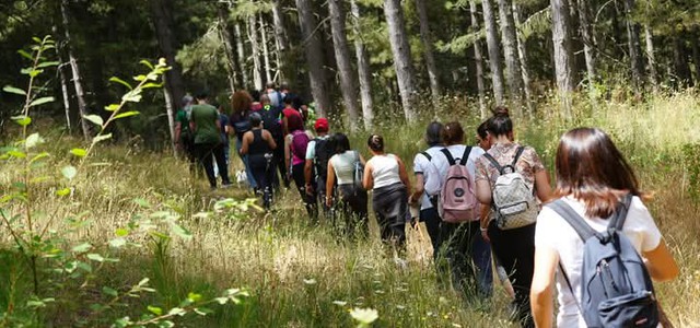 8 giugno: Camigliatello Silano - Festa della Foresta