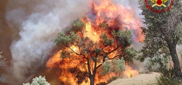 CATANZARO  - INCENDIO NEI PRESSI DEL PARCO DELLA BIODIVERSITÀ MEDITERRANEA