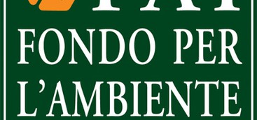 Curinga - Giornate FAI di Primavera “Alla scoperta dei tesori di Curinga”.