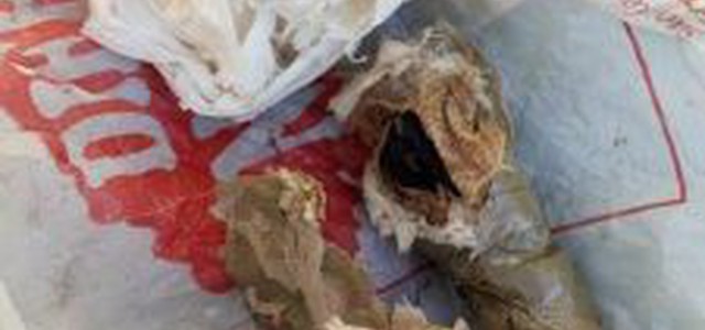 Scoperto tritolo nascosto in terreno, arrestato 76enne