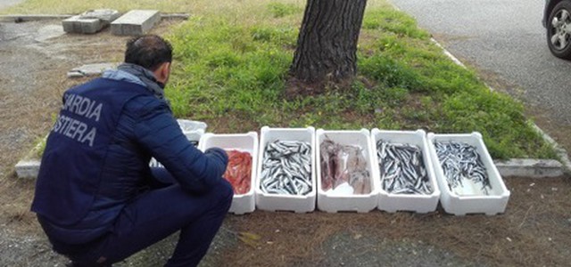 Sequestrati 160 kg di prodotto ittico