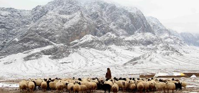 Valanghe in Afghanistan e Pakistan, 100 morti