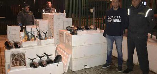 Sequestrati oltre 800 kg prodotto ittico