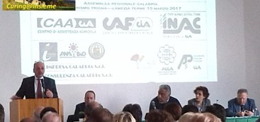 Curinga - Cia Calabria assemblea regionale