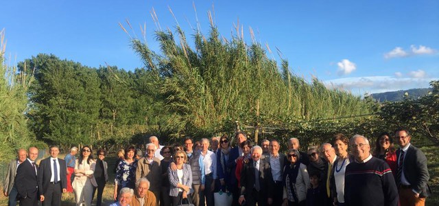 Incontro del Rotary Club su un'eccellenza lametina: il kiwi 