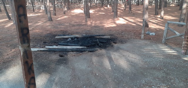 FOTONOTIZIA - Vandali nella Pineta di Giovino, falò con i pali della staccionata
