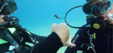 Monitoraggio della glicemia sott’acqua nella baia dell’ippocampo di Soverato