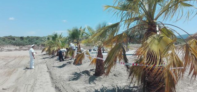 Spiaggia abusivamente occupata a Curinga, denunciato il responsabile