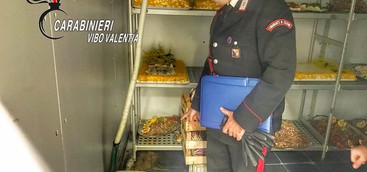 Escrementi e cibi scaduti e avariati in un ristorante: serata sospesa e maxi sanzione al proprietario (FOTO)