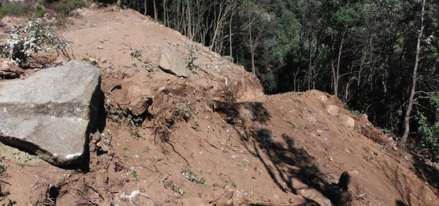 Sospeso taglio abusivo di un bosco