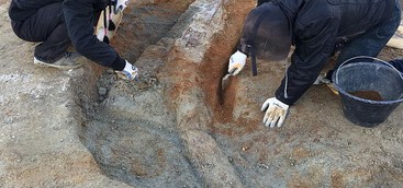 Elefanti preistorici, templi greci, strade romane e spade longobarde: i tesori emersi in Sila