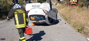 Catanzaro- Cinghiale provoca incidente stradale(FOTO)
