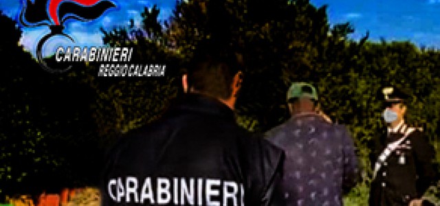 Braccianti impiegati "in nero", denunciato imprenditore