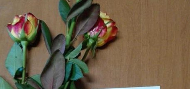 Fiori recapitati nelle caserme per solidarietà ai Cc