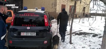 Carabinieri, due arresti ed una denuncia nel Crotonese (VIDEO)