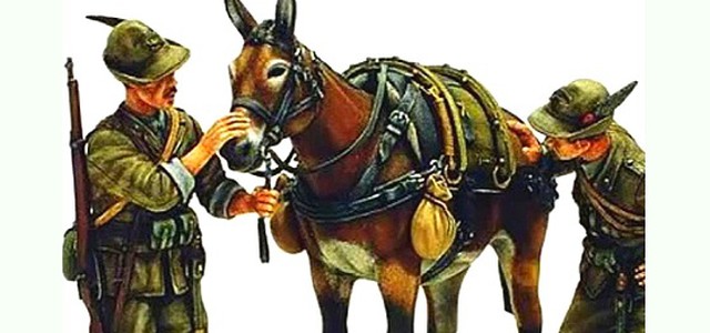 A Chiaravalle Centrale il coro degli Alpini della Val di Scalve