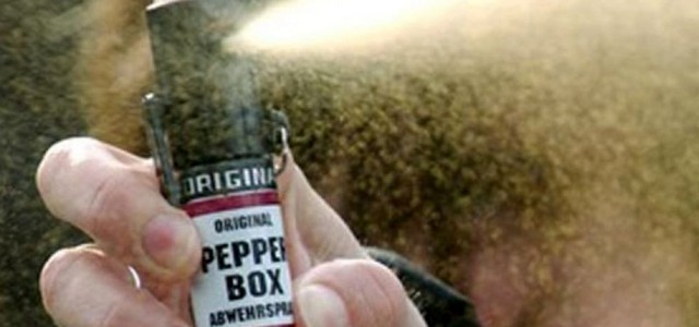 Spray al peperoncino sulla folla, forze dell’ordine a caccia dei responsabili