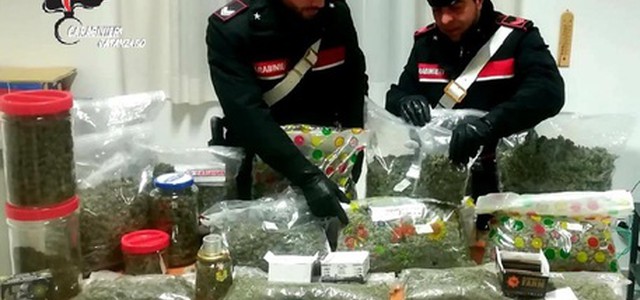 Vendeva Cannabis Light fuori norma, arrestato un lametino