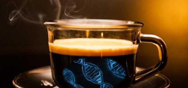 Bere caffè rende longevi, riduce il rischio morte per ogni causa