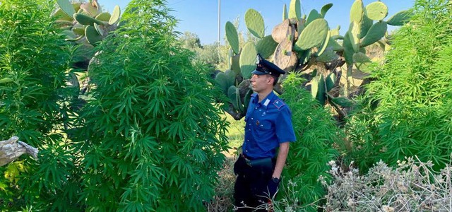 Contrasto al traffico illecito di sostanze stupefacenti: 4 arrestati