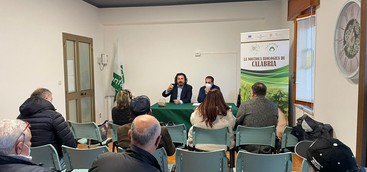 Filiera della nocciola tonda di Calabria: in arrivo 160mila euro per la valorizzazione e la tutela