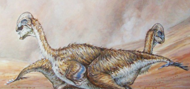 Trovato un 'nido' di dinosauri, dormivano come gli uccelli