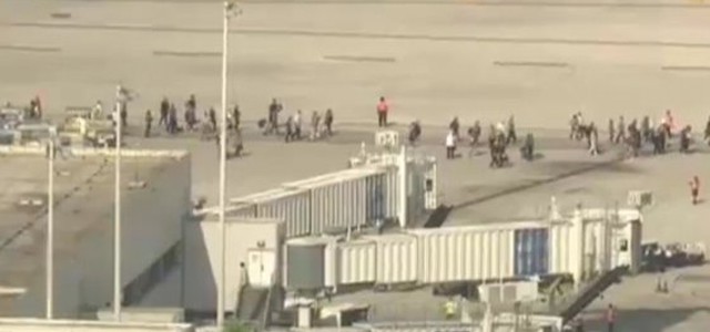 Usa, sparatoria all'aeroporto di Fort Lauderdale in Florida. Diverse vittime e feriti gravi