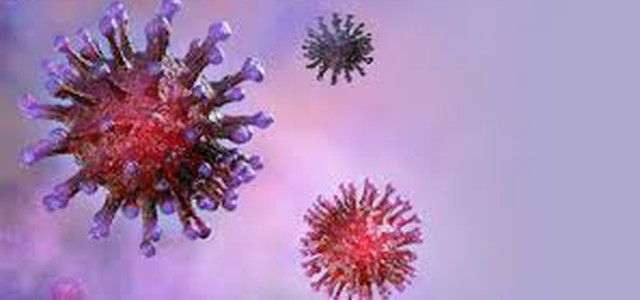 Coronavirus, la comunicazione del Comune di Palmi : "  Altri 200 tamponi negativi, ripartenza vicina"